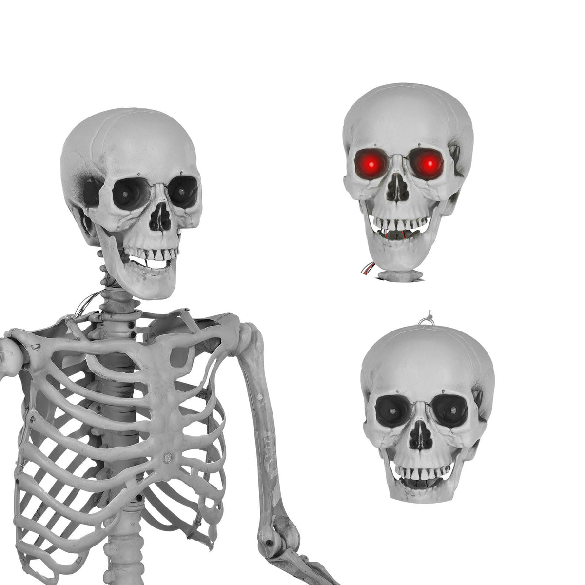 5.4 Ft Lighted Life Size Plastic Skeleton with Movable Joint S948