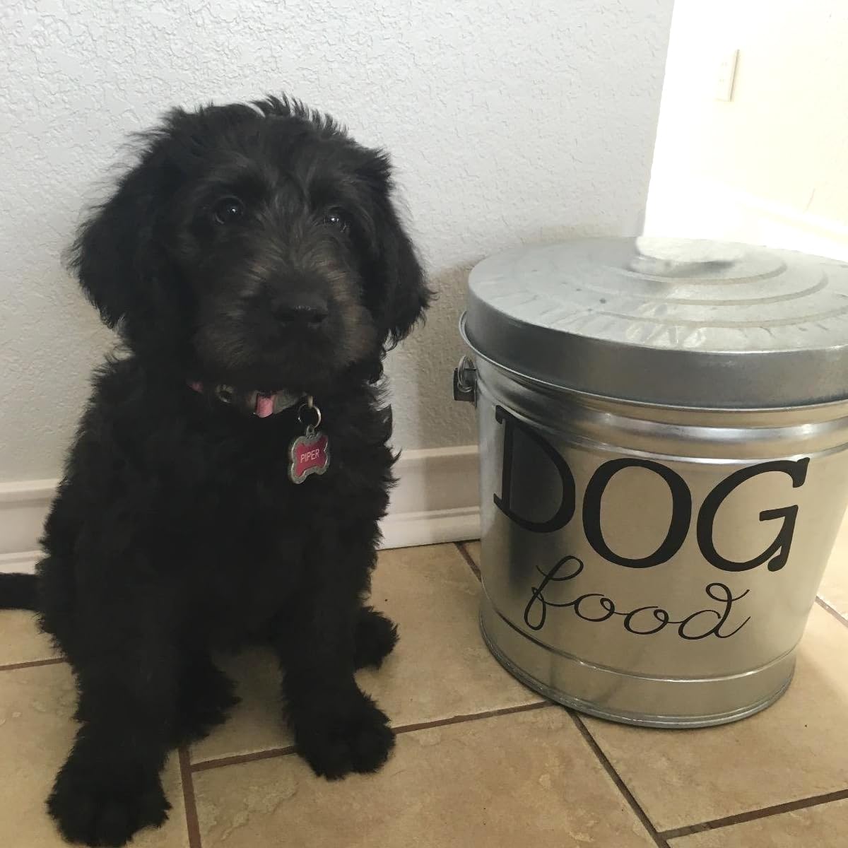 6 Gallon Galvanized Steel Locking Trash Can F495