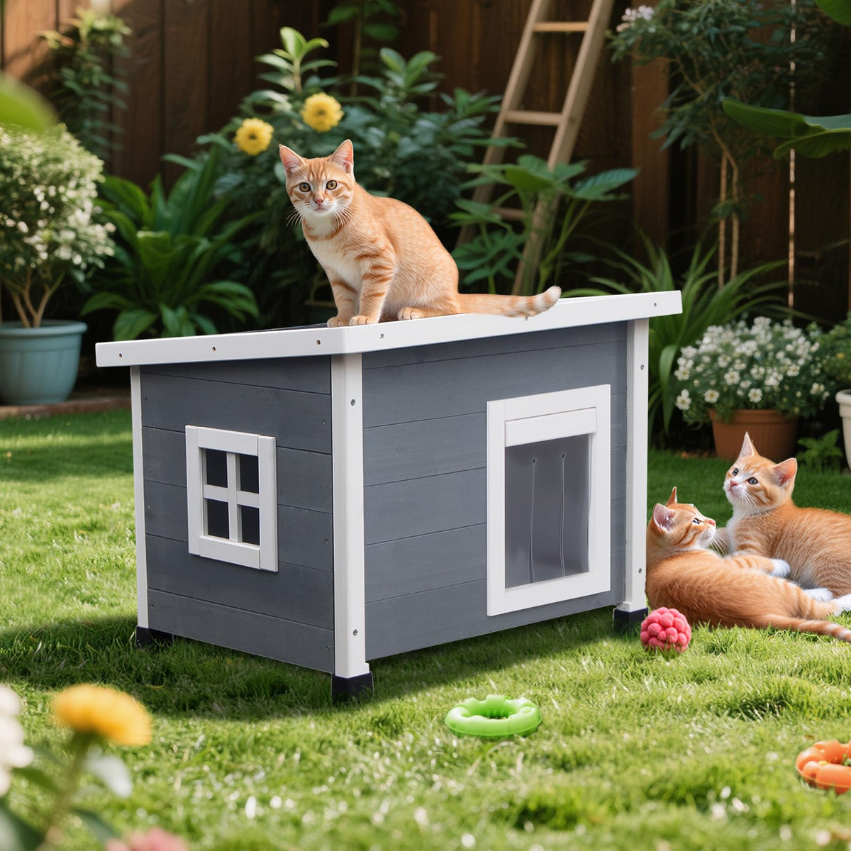 Wooden Pet House with Window L4263