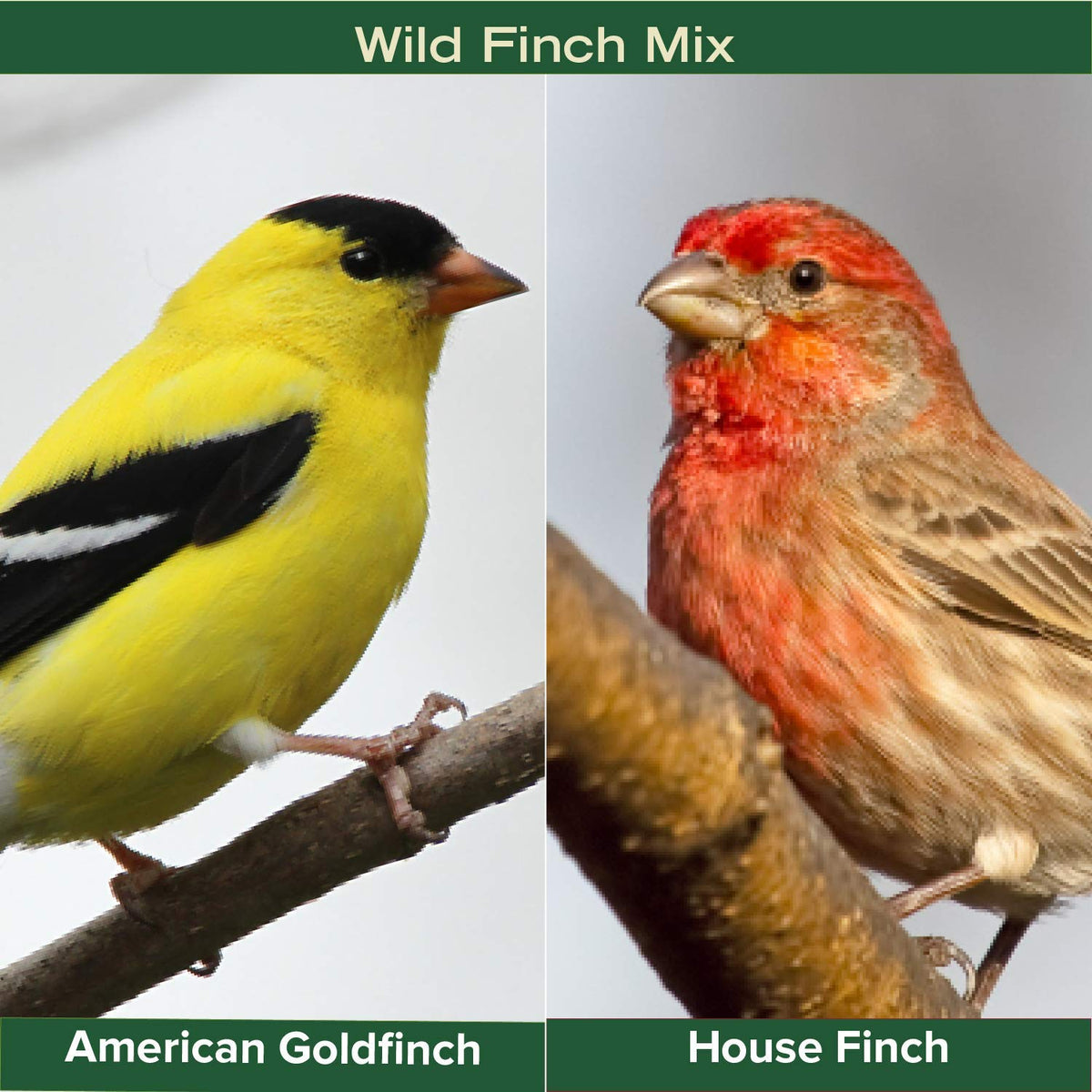 Finch Wild Bird Seed 20lb Bag I623135