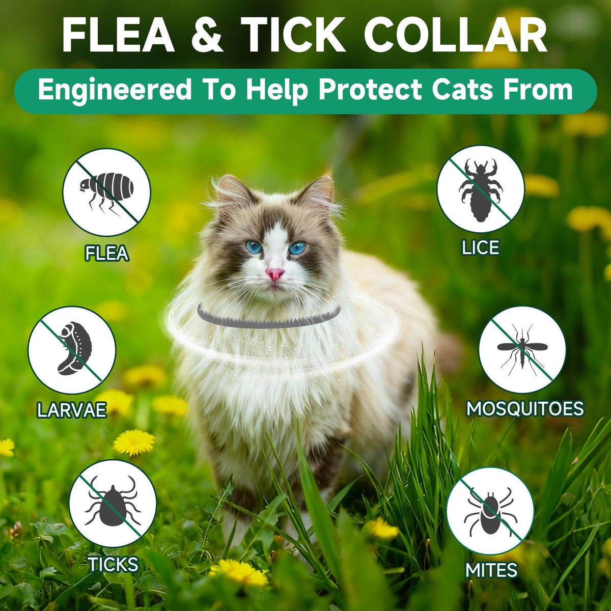 Grey 4-Pack Cat Flea and Tick Collar B8710