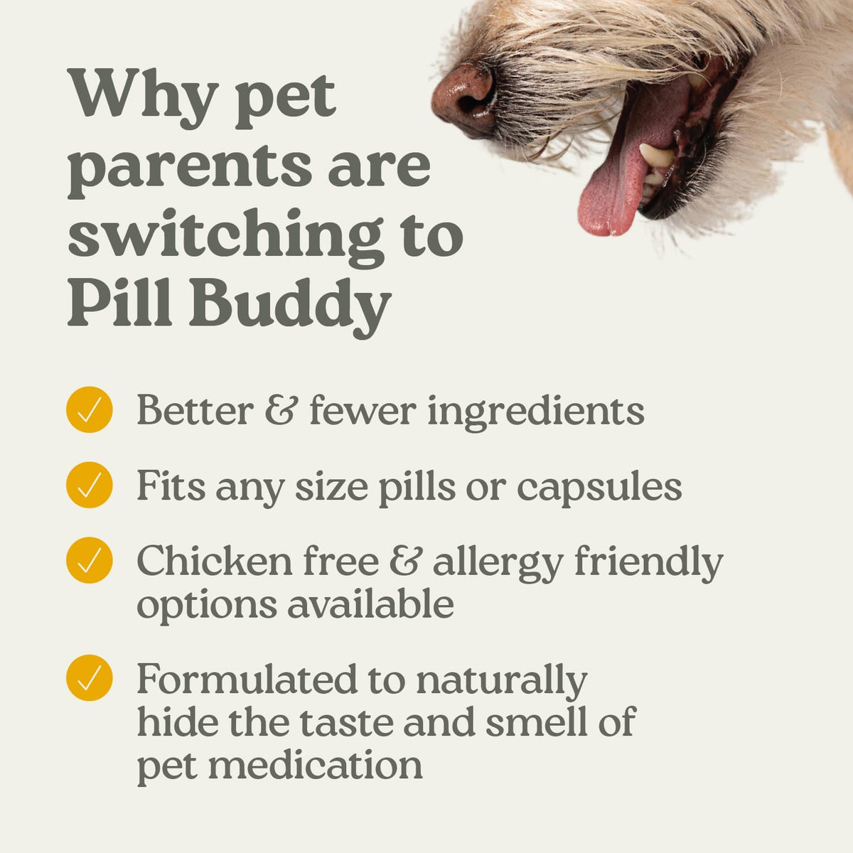 Pill Hiding Treats for Dogs Q64404