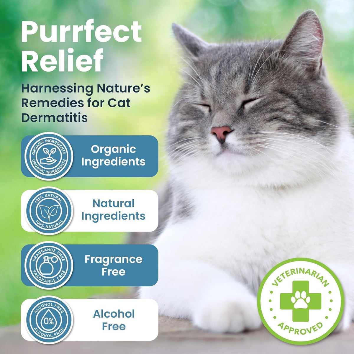 Cat Paw Balm Cat Cream 2 oz B5576