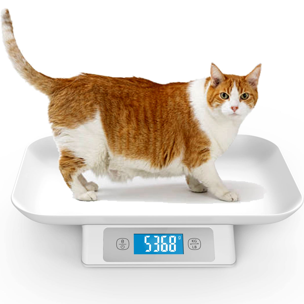 Digital Pet Scale 33 lbs Removable Tray Grey M83015