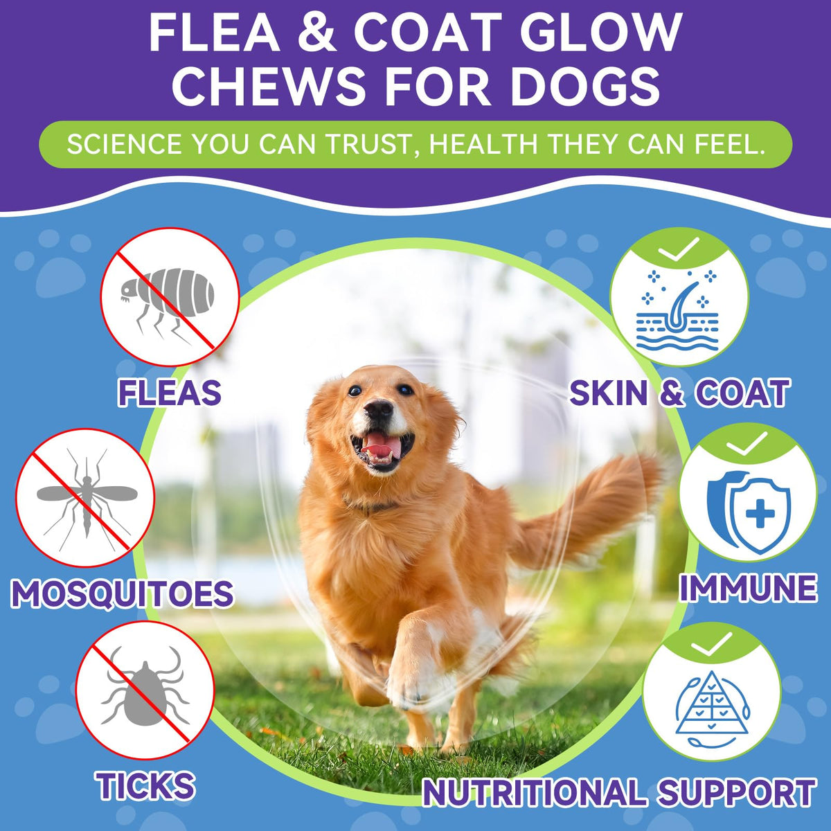 Flea and Tick Prevention for Dogs W779