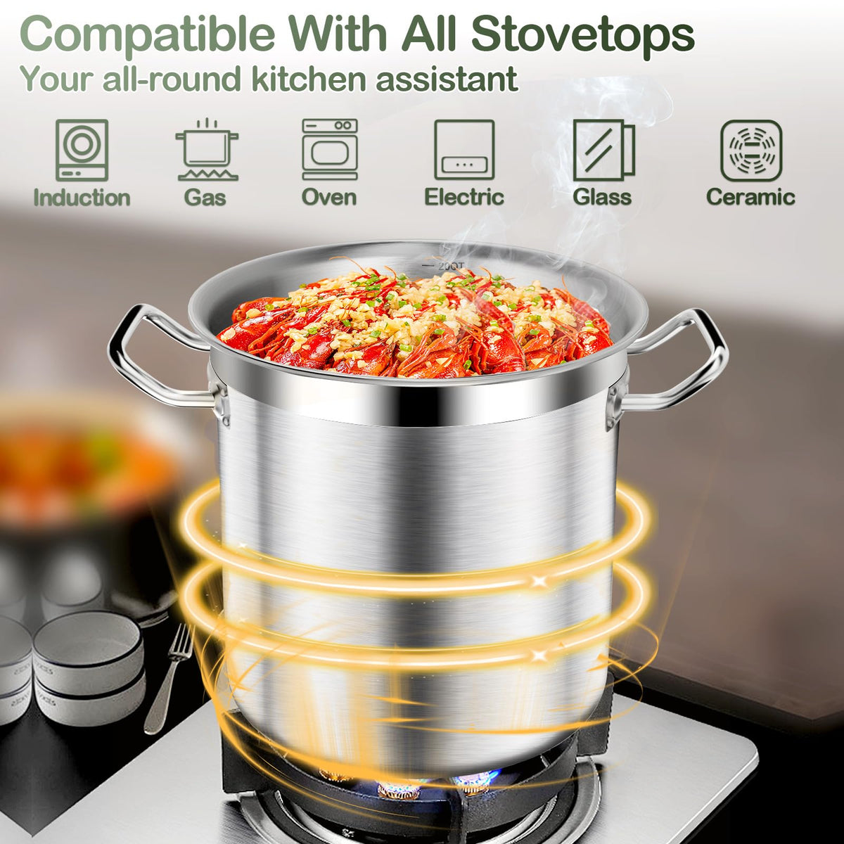 40QT Stainless Steel Stockpot with Lid B425164