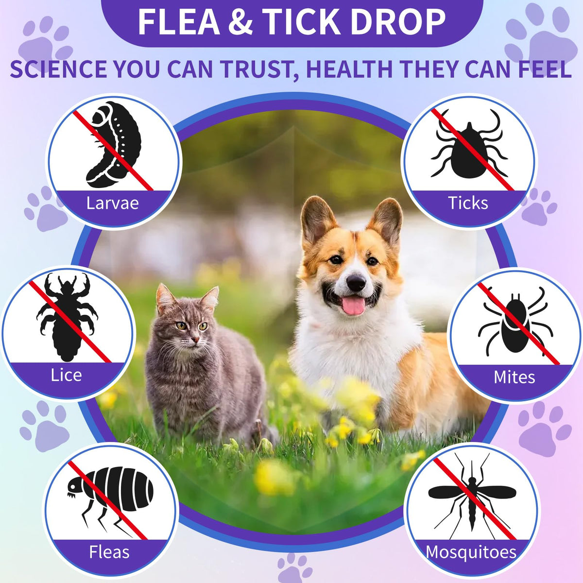 Flea and Tick Prevention for Cats & Dogs 60ml V696606