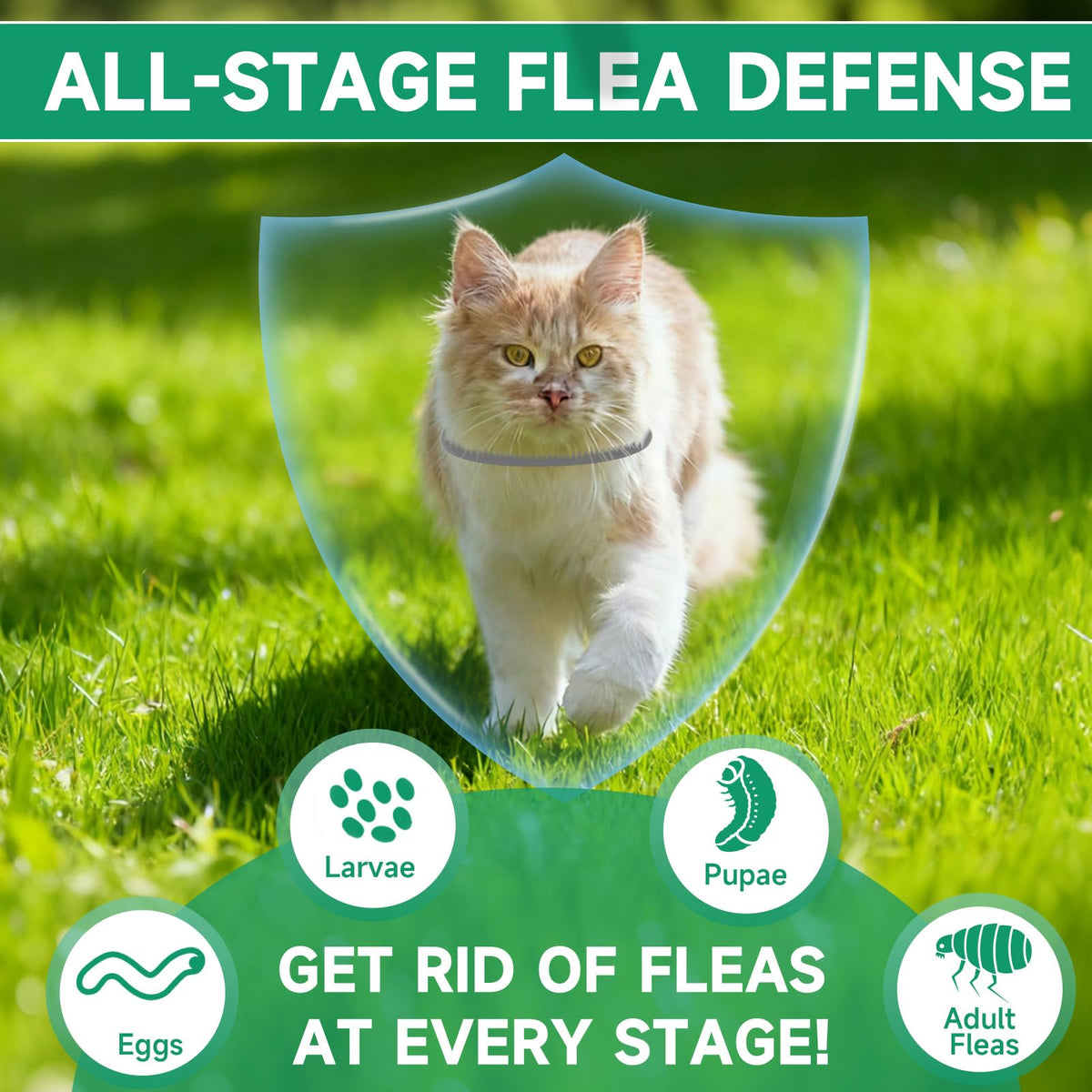 Grey 4-Pack Cat Flea and Tick Collar B8710