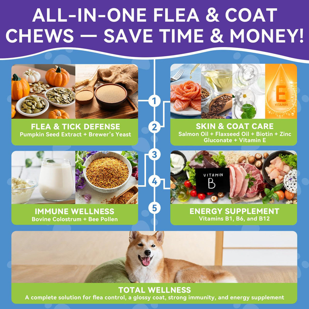 Flea and Tick Prevention for Dogs W779