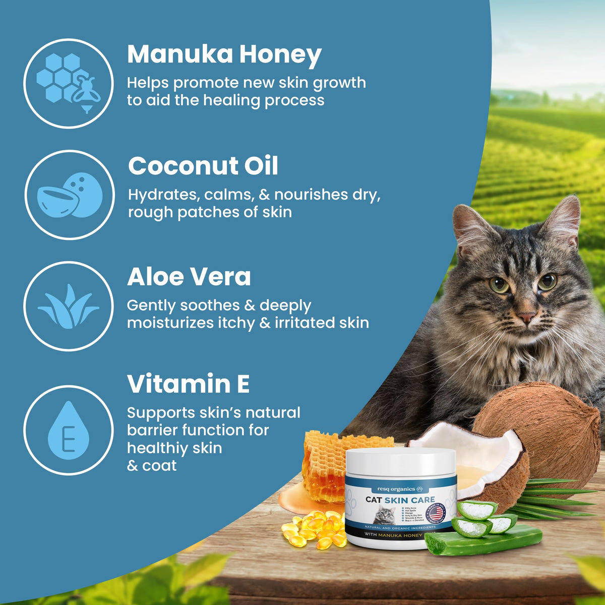 Cat Paw Balm Cat Cream 2 oz B5576