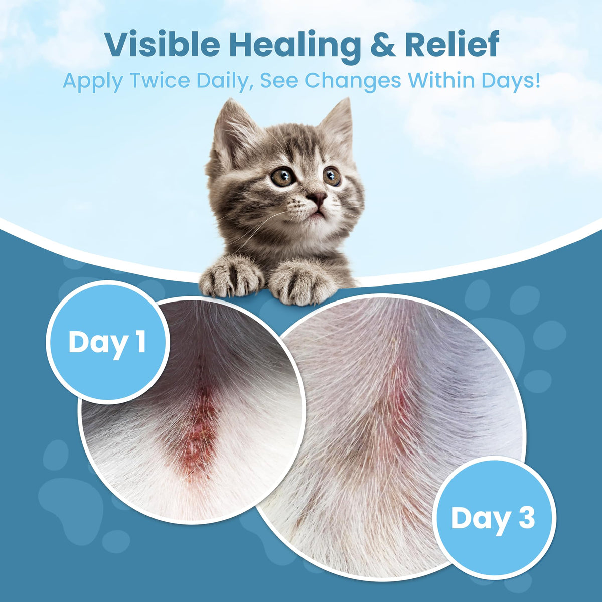 Cat Paw Balm Cat Cream 2 oz B5576