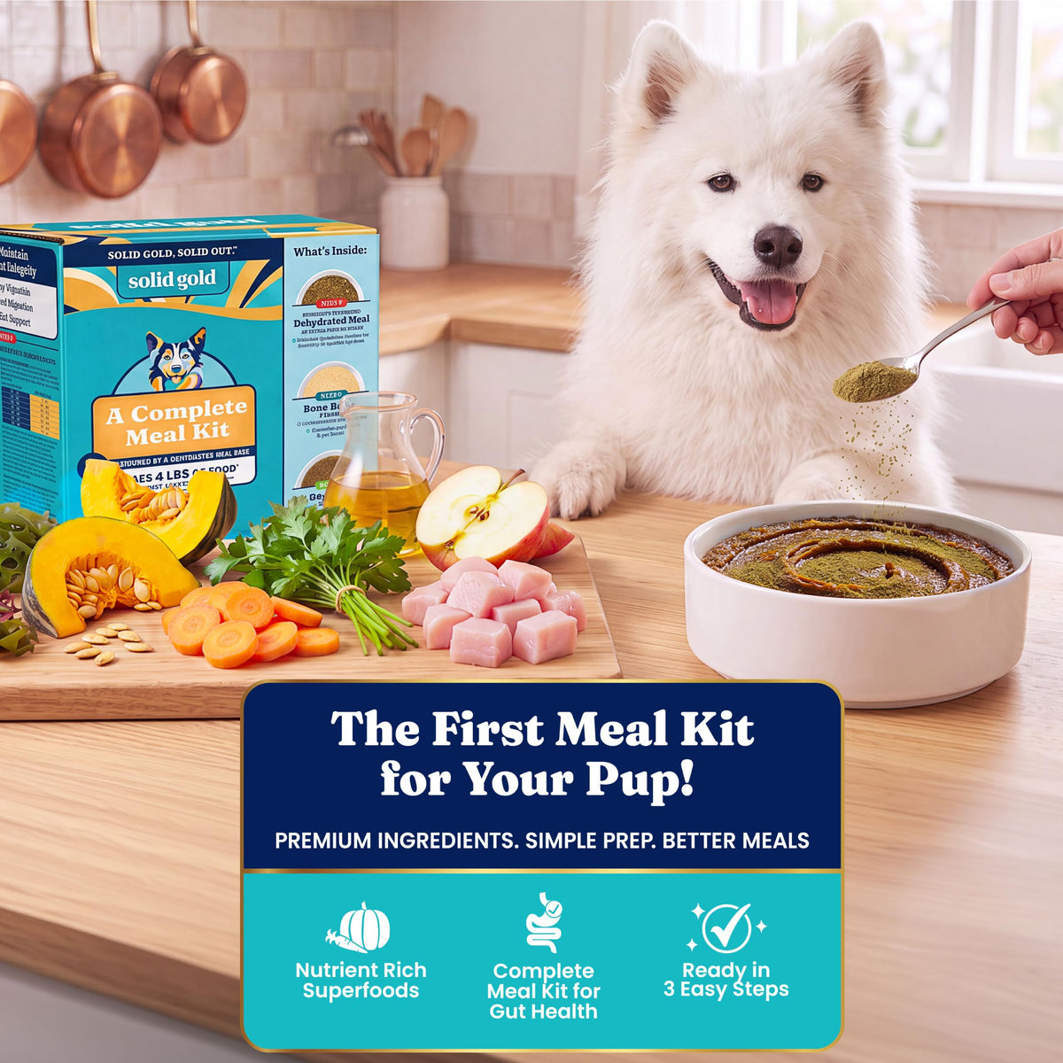 Solid Gold Chicken Dehydrated Dog Food E174798