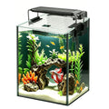 1.5 Gallon Glass Aquarium Starter Kit with LED Light and Power Filter N14900